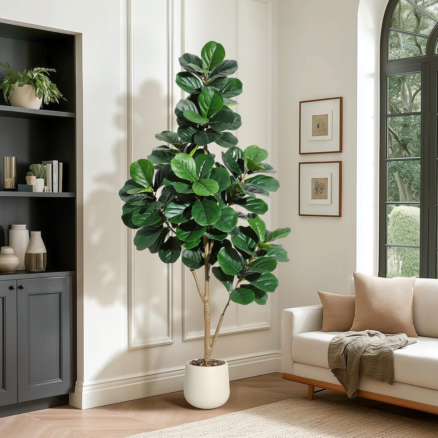 4-7 pés folha de violino figo  - Dracaena Marginata avaliação e preço