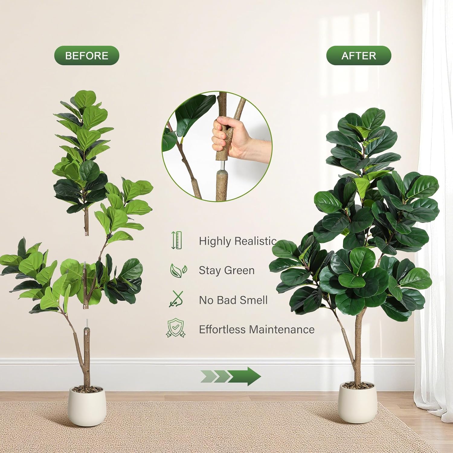 4-7 pés folha de violino figo  - Dracaena Marginata avaliação e preço