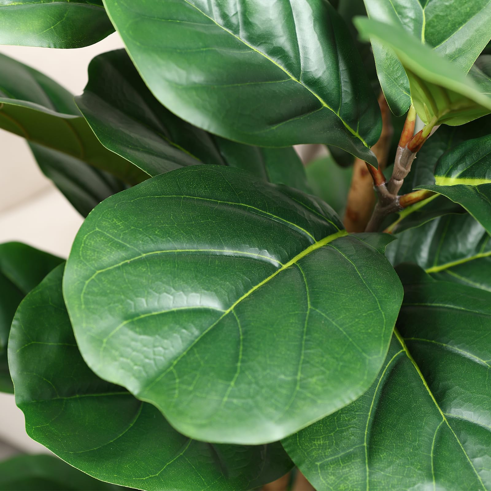 Árvore artificial de figueira- - Ficus Lyrata Tree avaliação e preço