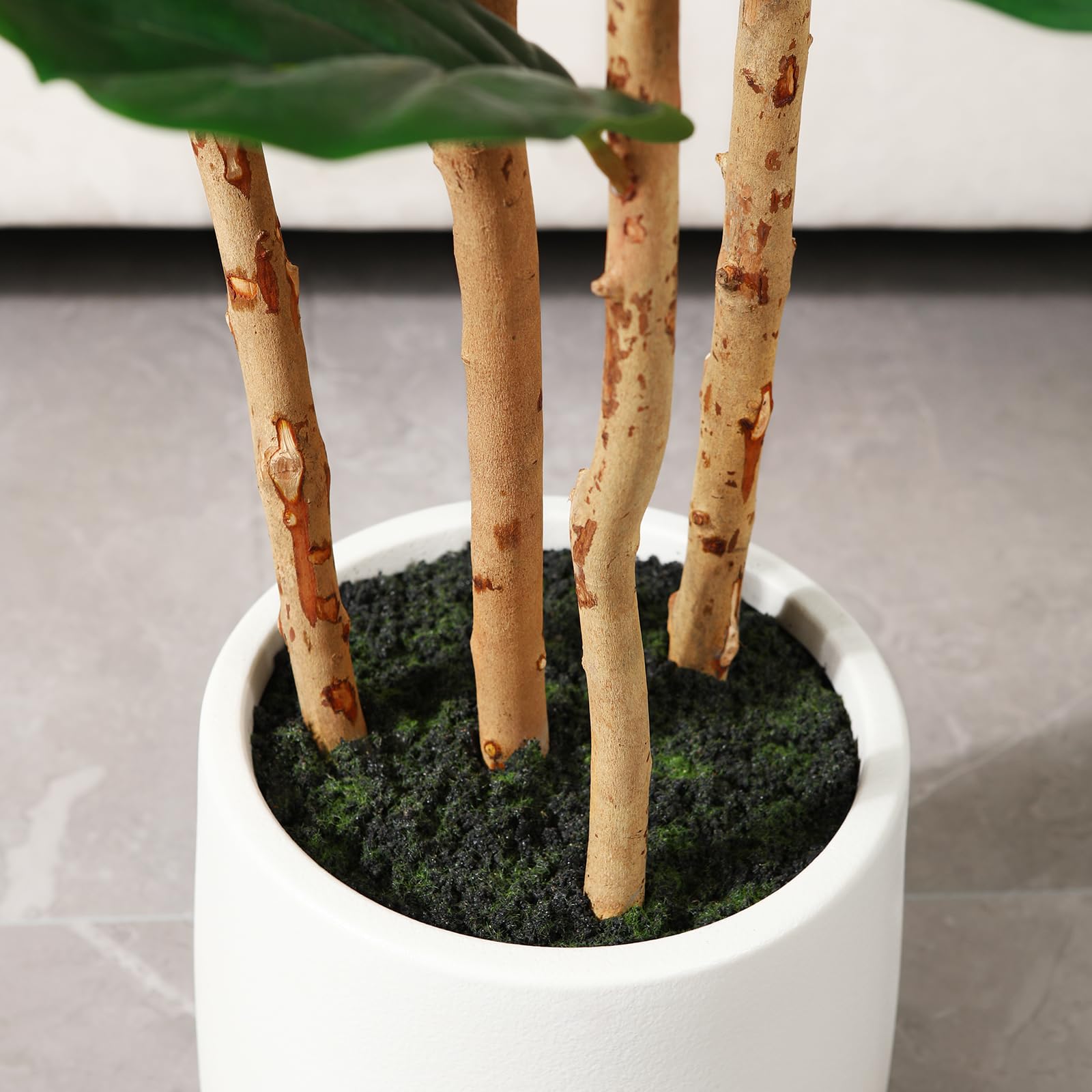 Árvore artificial de figueira- - Ficus Lyrata Tree avaliação e preço